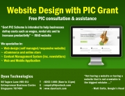 Website Design with PIC Grant